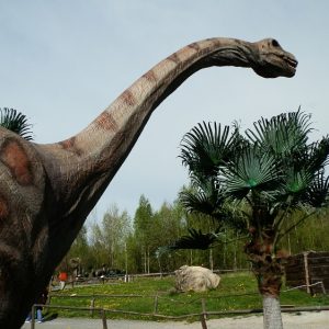 अर्जेंटीना में प्रथम विशाल डायनासोर के जीवाष्म की खोज