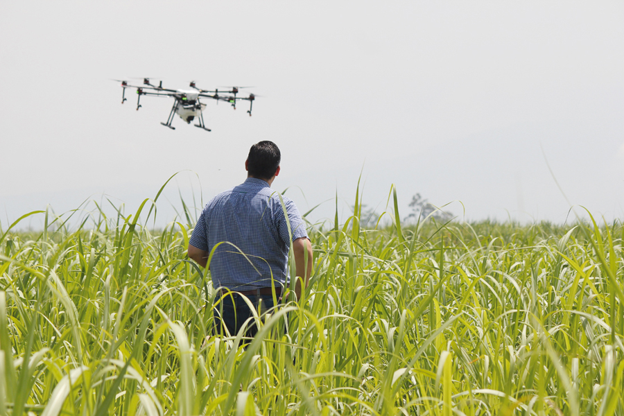 Precision Agriculture: The Future of Sustainable Farming